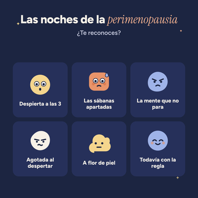 Noche Fresca de Mivie